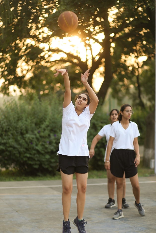 Sports Sports
